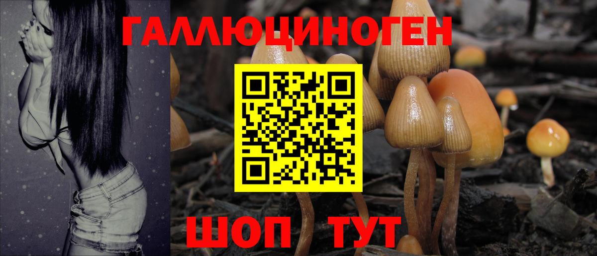 Псилоцибиновые грибы ЛСД  Вход с VPN  Липецк 